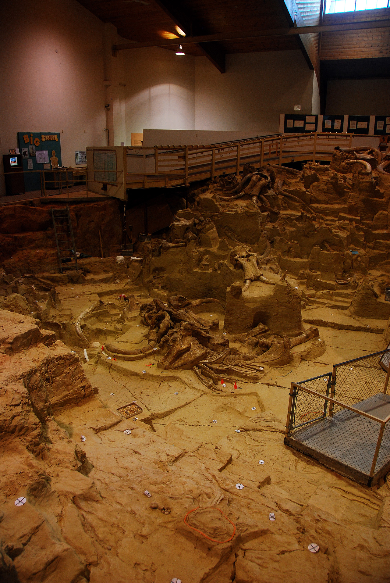 2012-08-21, 017, Mammoth Site, SD