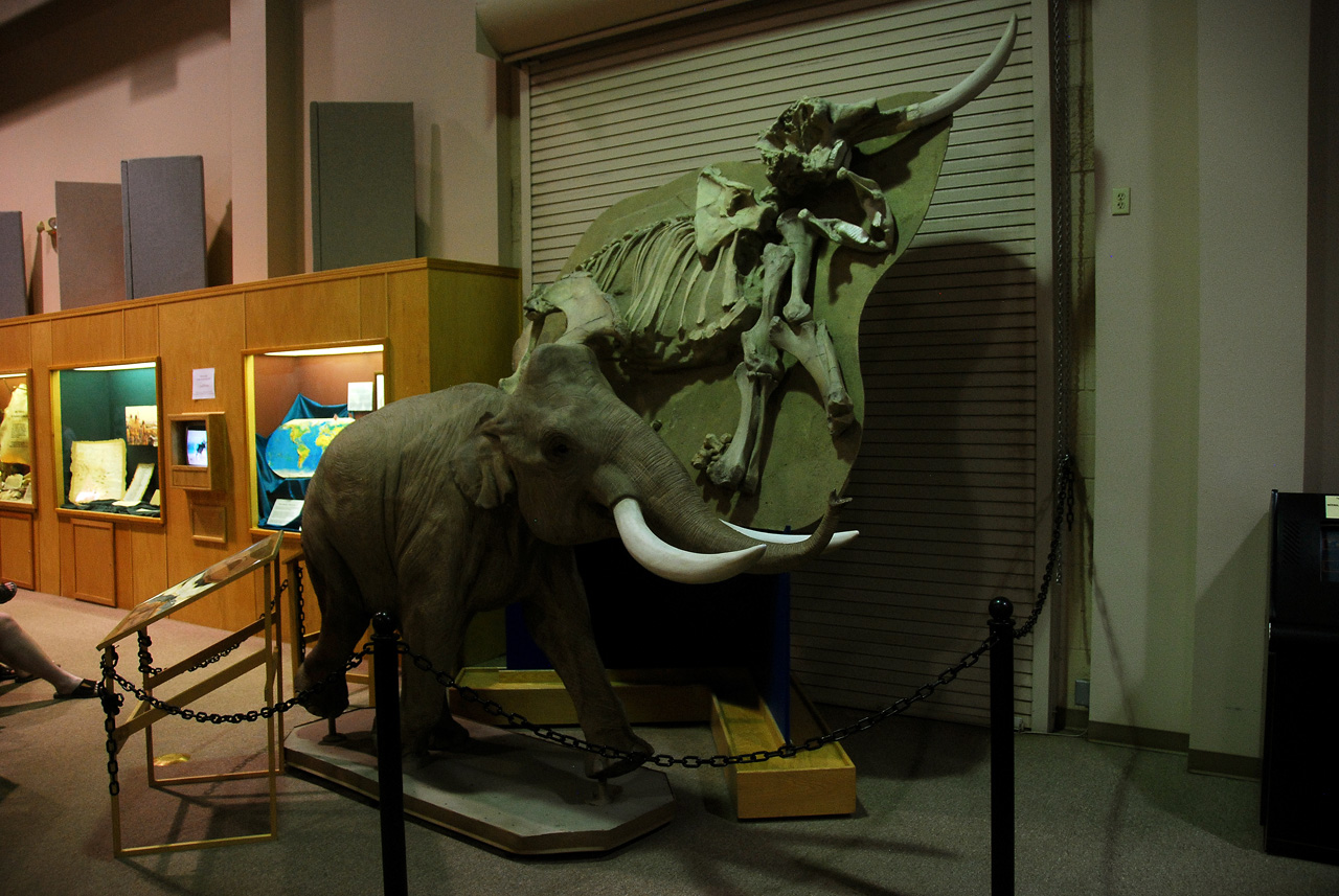 2012-08-21, 039, Mammoth Site, SD