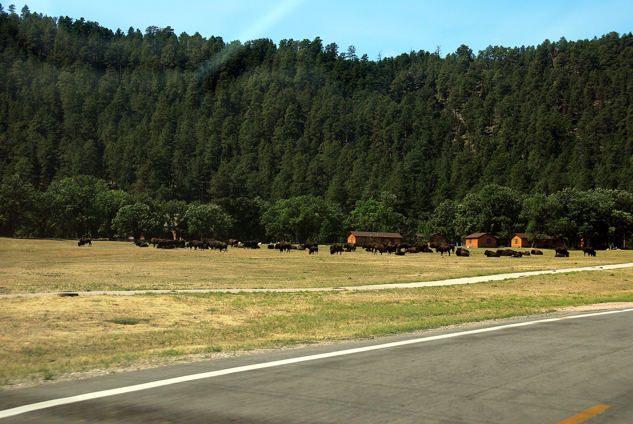 2012-08-21, 002, Wind Cave NP, SD