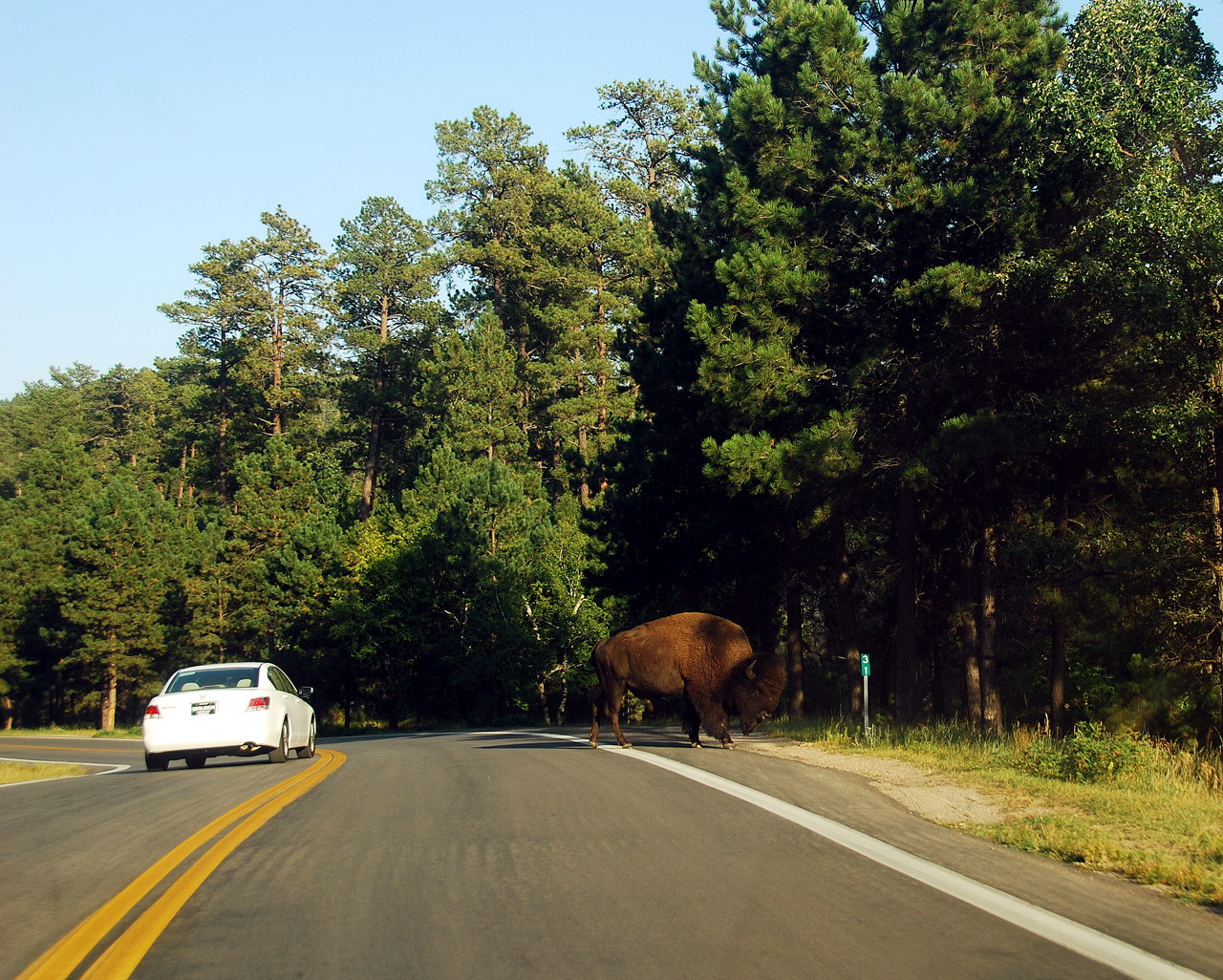 2012-08-21, 011, Wind Cave NP, SD