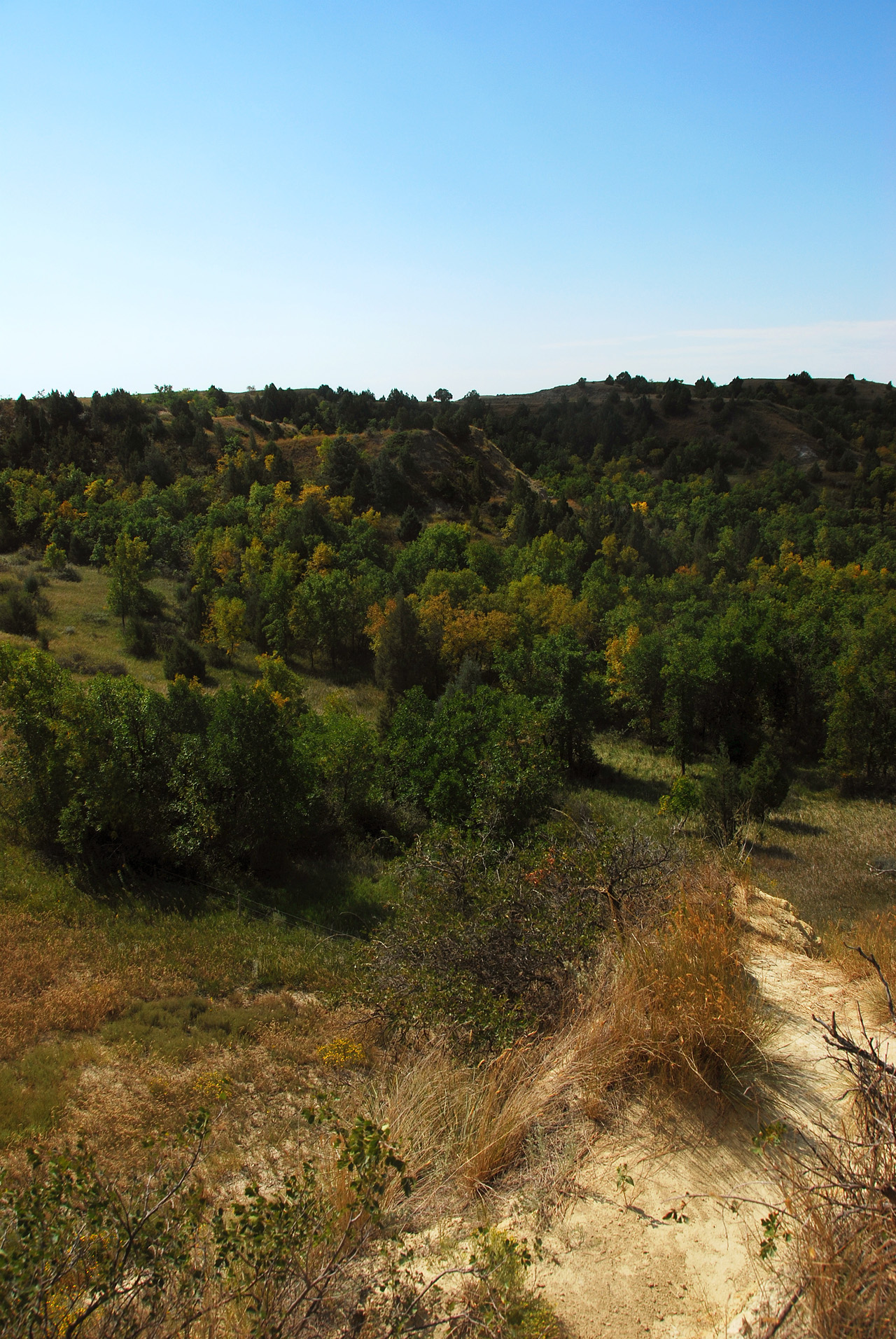 2012-08-29, 005, Theodore Roosevelt NP