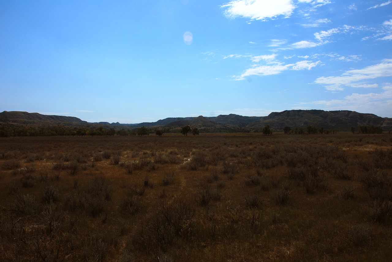 2012-08-29, 013, Theodore Roosevelt NP