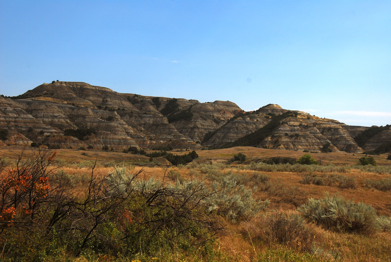 2012-08-29, 026, Theodore Roosevelt NP