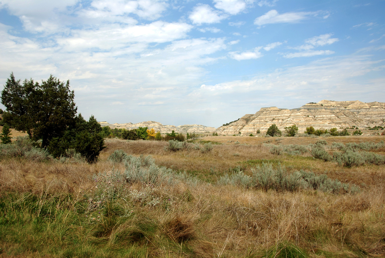 2012-08-29, 027, Theodore Roosevelt NP