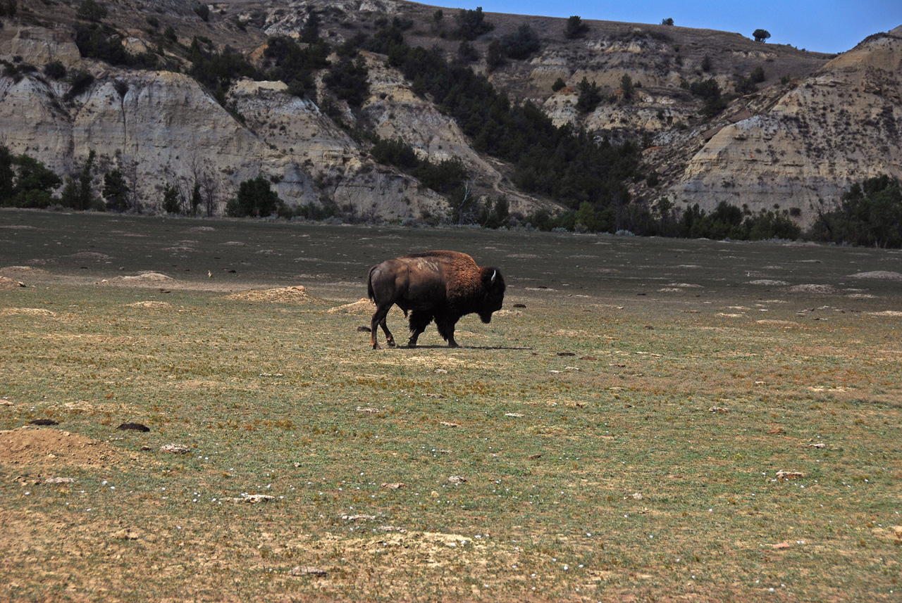 2012-08-28, 016, Theodore Roosevelt NP