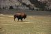 2012-08-28, 017, Theodore Roosevelt NP