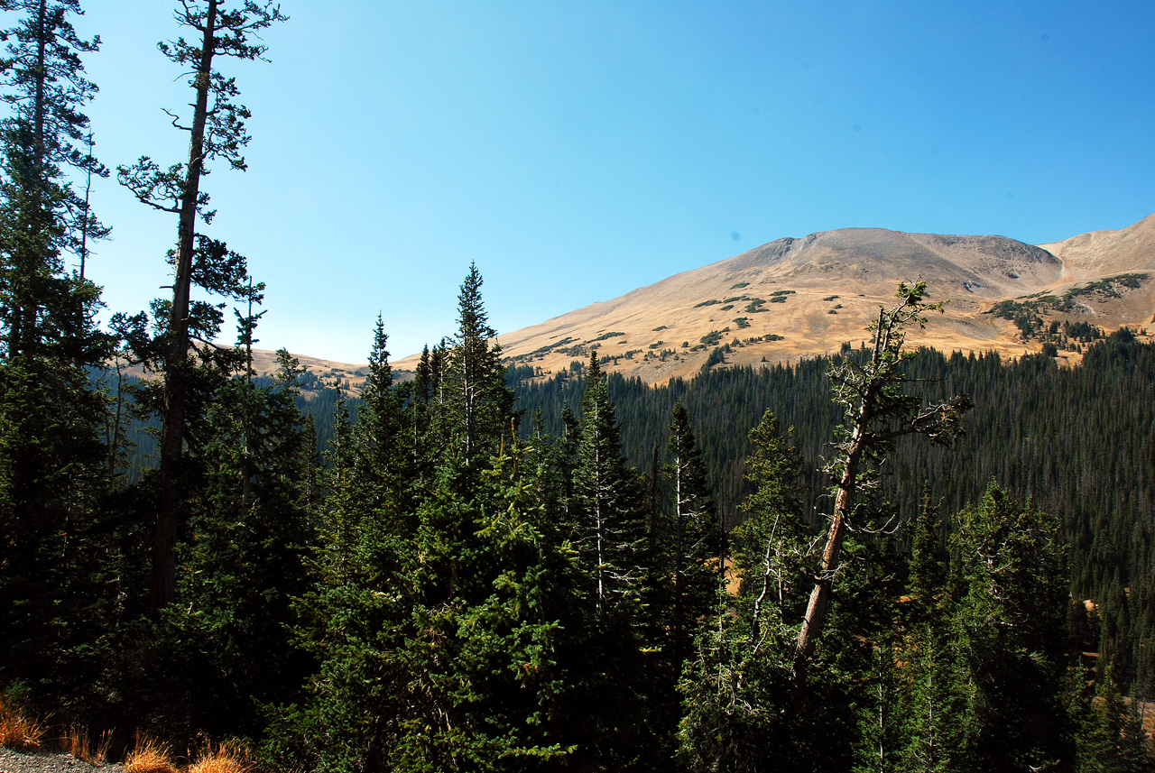 2012-09-18, 032, Trail Ridge Road