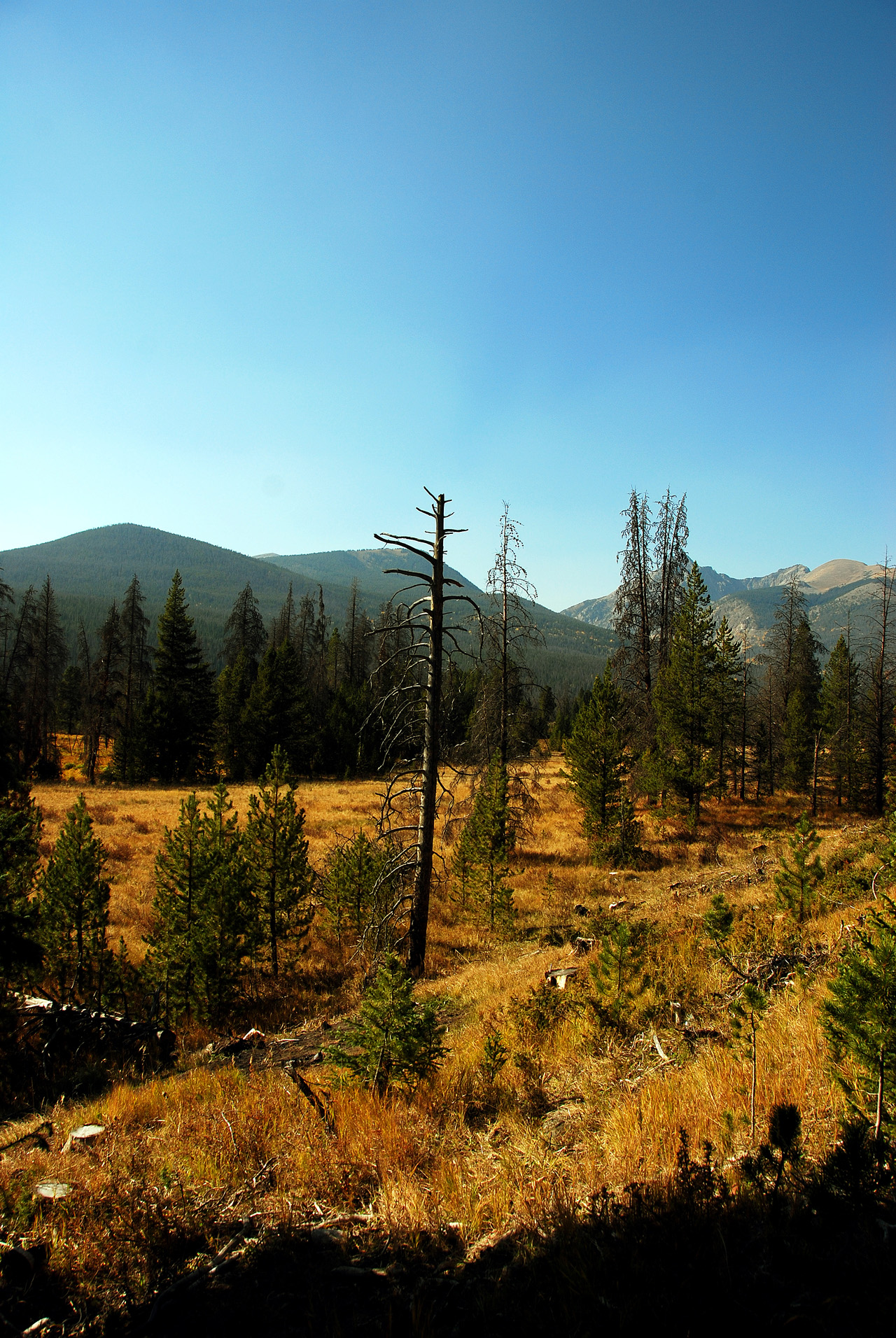 2012-09-18, 052, Trail Ridge Road