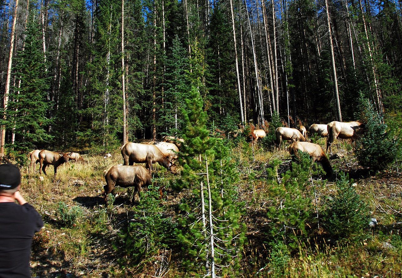 2012-09-18, 057, Trail Ridge Road