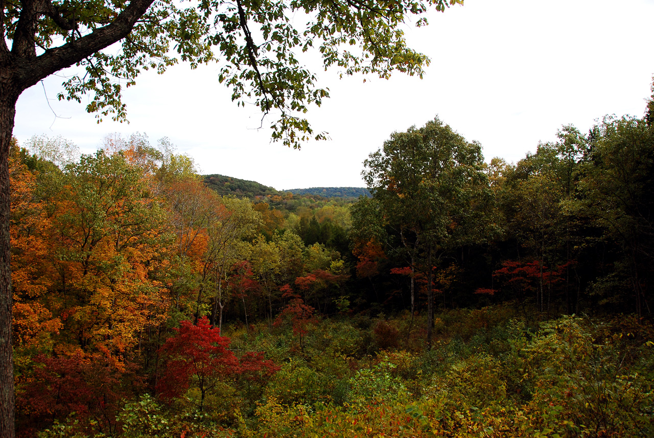 2012-10-12, 003, Mammoth Cave NP, KY