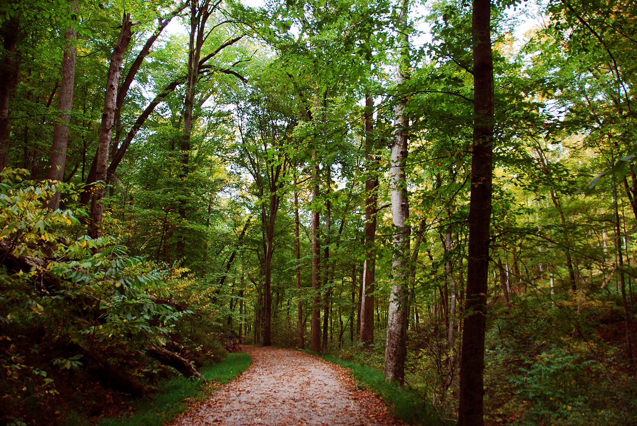 2012-10-12, 010, Mammoth Cave NP, KY