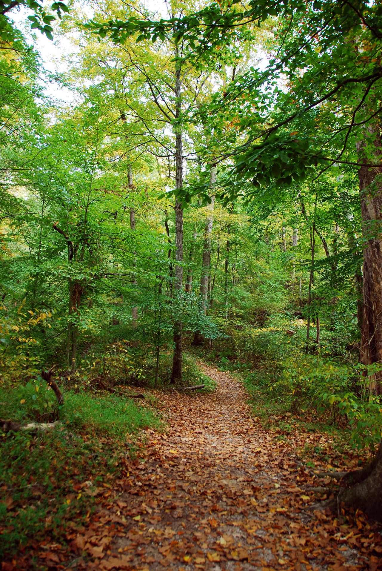 2012-10-12, 017, Mammoth Cave NP, KY