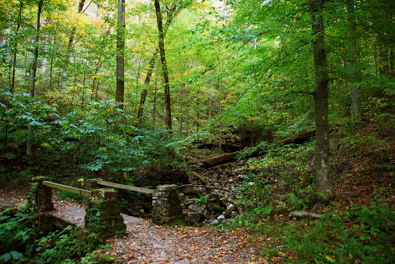 2012-10-12, 018, Mammoth Cave NP, KY