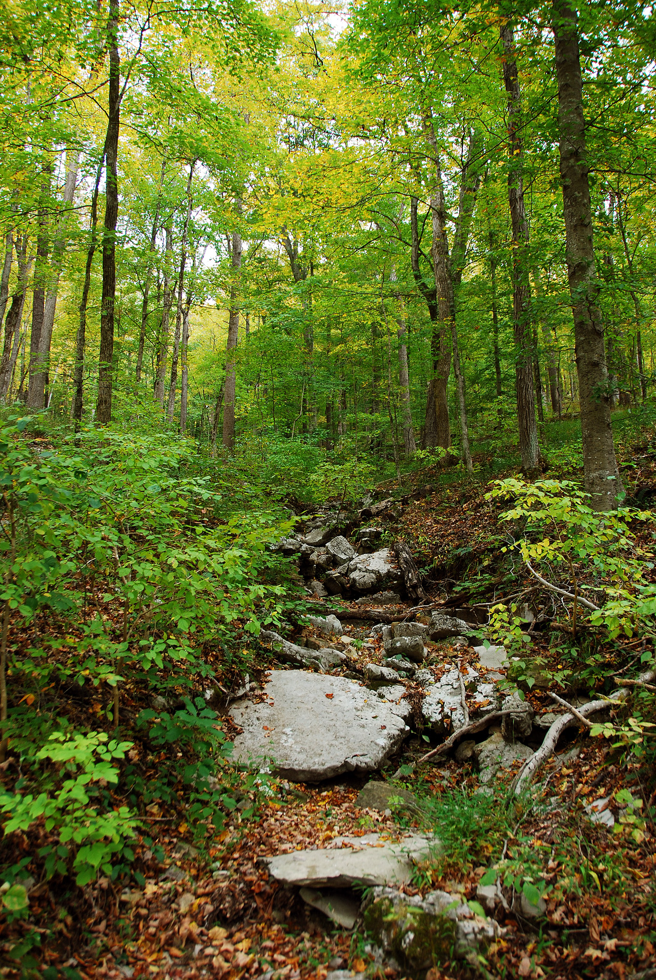 2012-10-12, 020, Mammoth Cave NP, KY