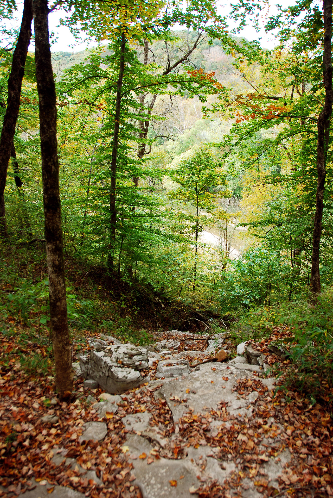 2012-10-12, 021, Mammoth Cave NP, KY