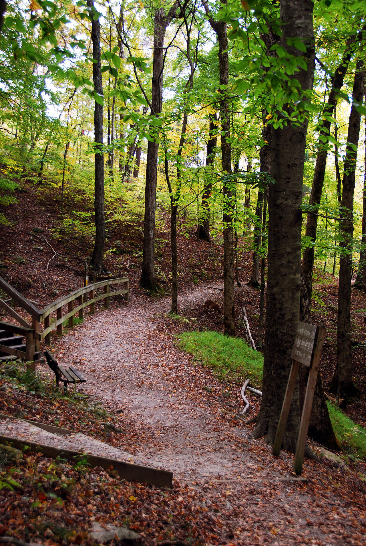 2012-10-12, 025, Mammoth Cave NP, KY