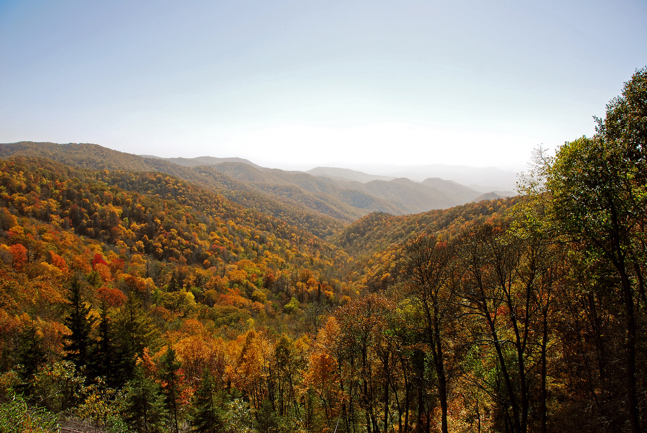 2012-10-19, 023, Great Smoky Mountains, NC