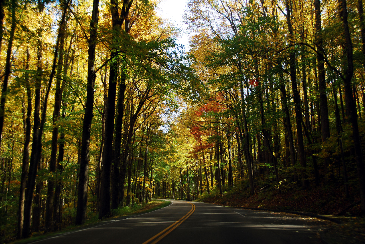 2012-10-19, 029, Great Smoky Mountains, NC