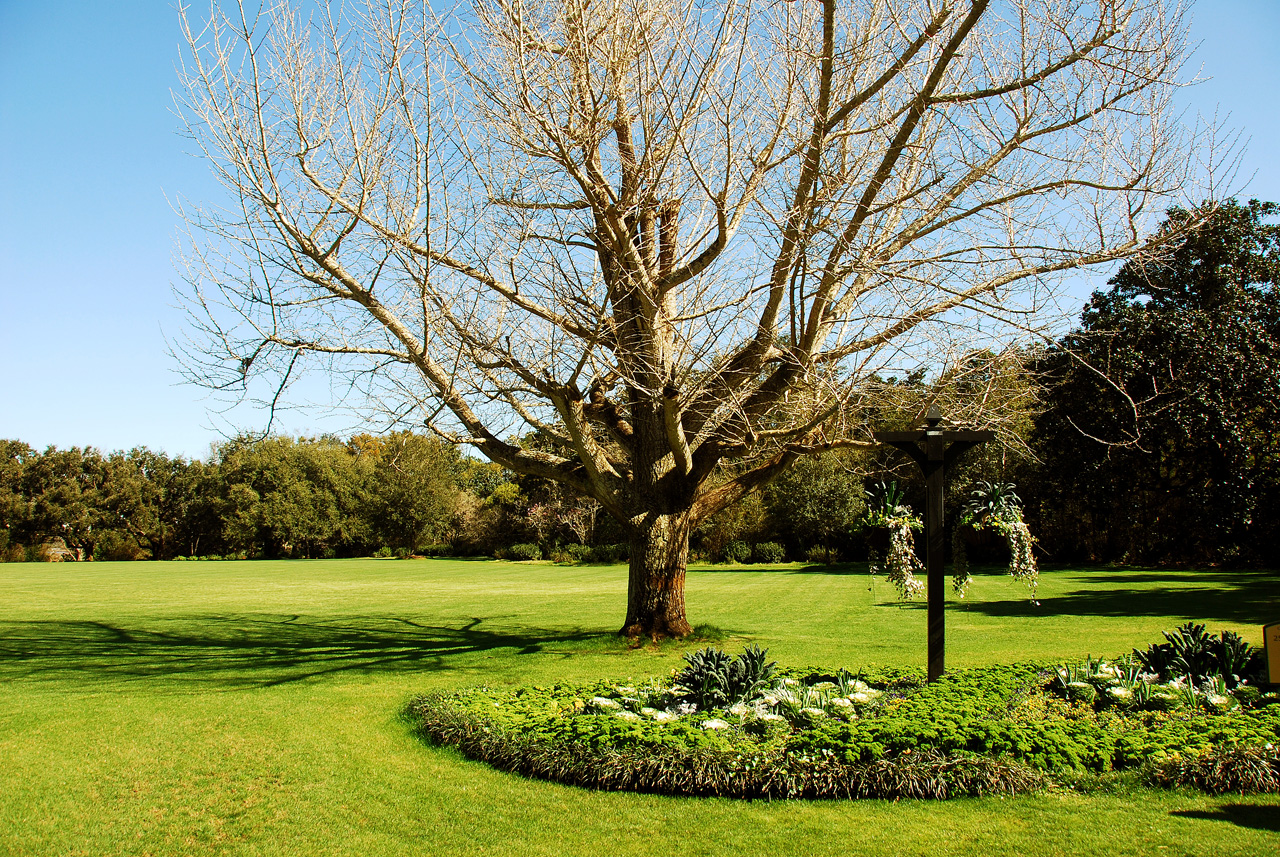 2013-02-15, 015, Bellingrath Gardens, Theodore, AL