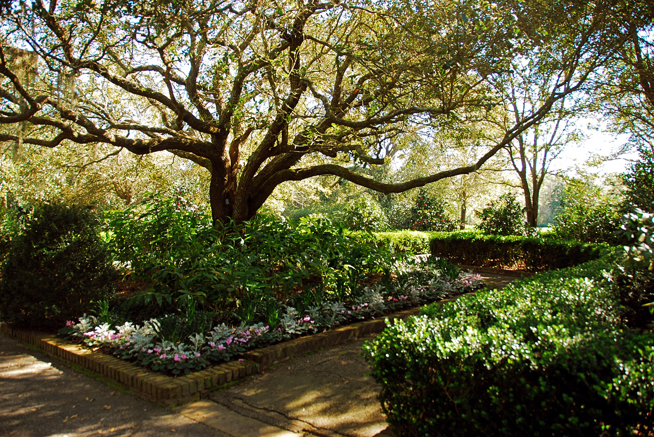 2013-02-15, 019, Bellingrath Gardens, Theodore, AL