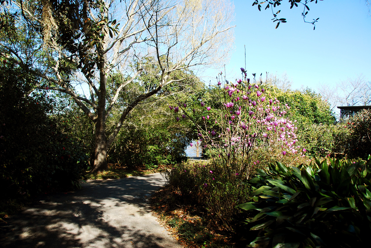 2013-02-15, 040, Bellingrath Gardens, Theodore, AL