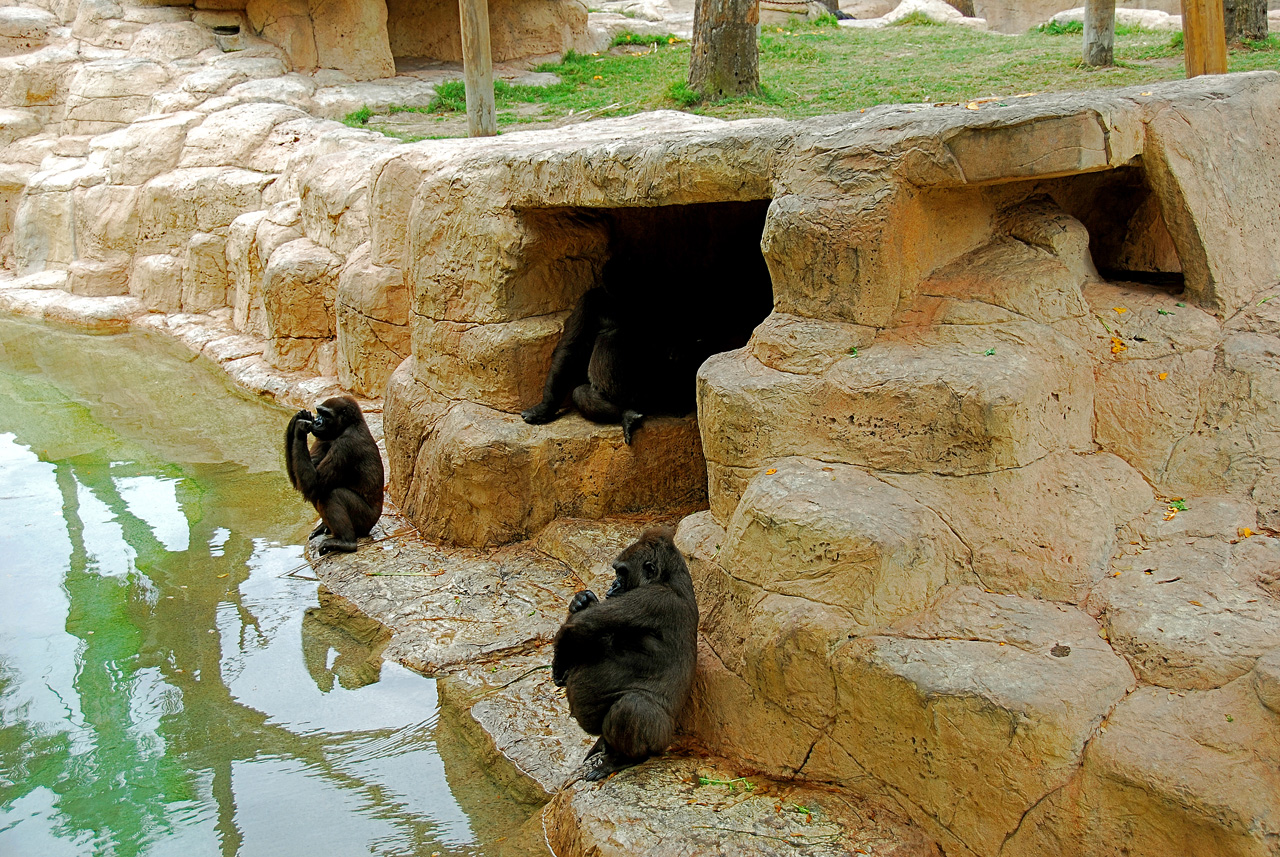 2013-04-03, 004, Gladys Porter Zoo, Brownsville, TX