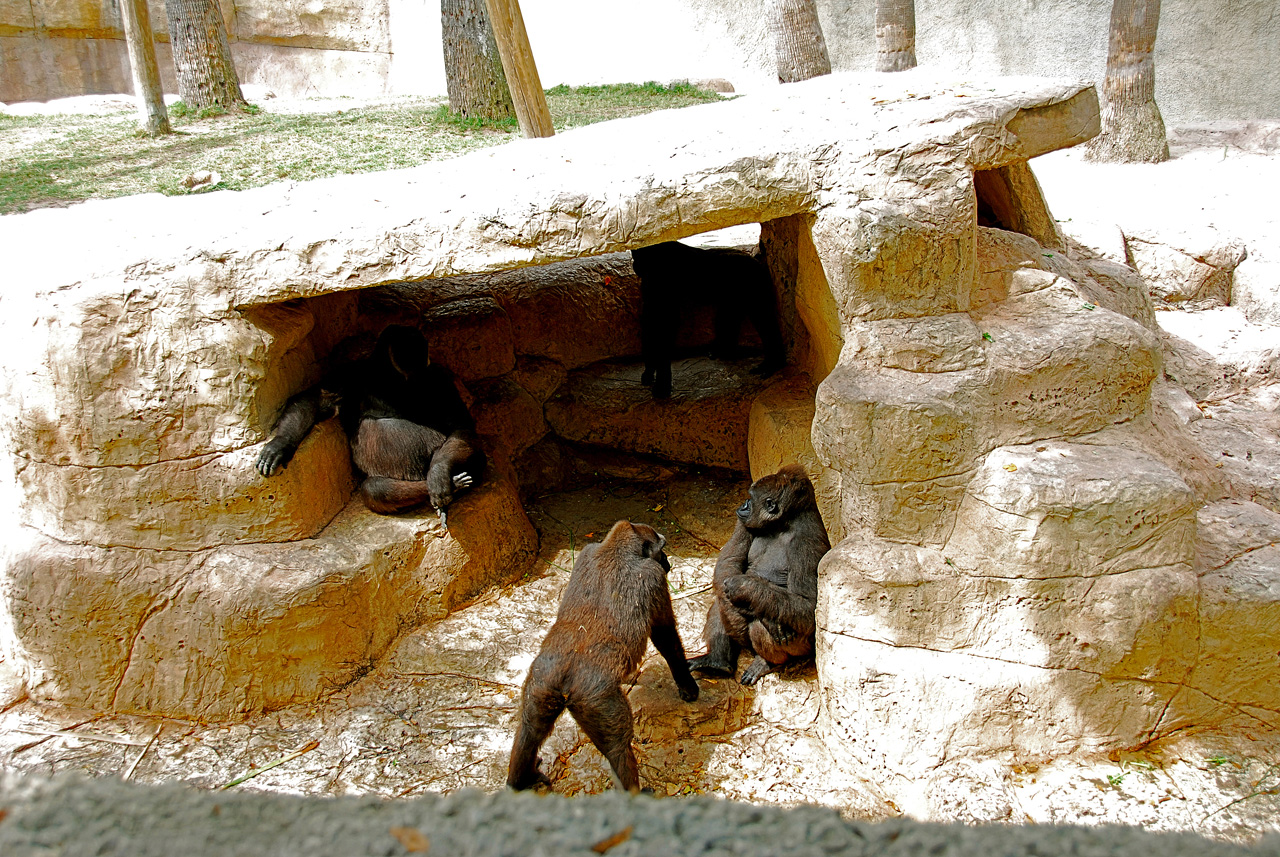 2013-04-03, 009, Gladys Porter Zoo, Brownsville, TX