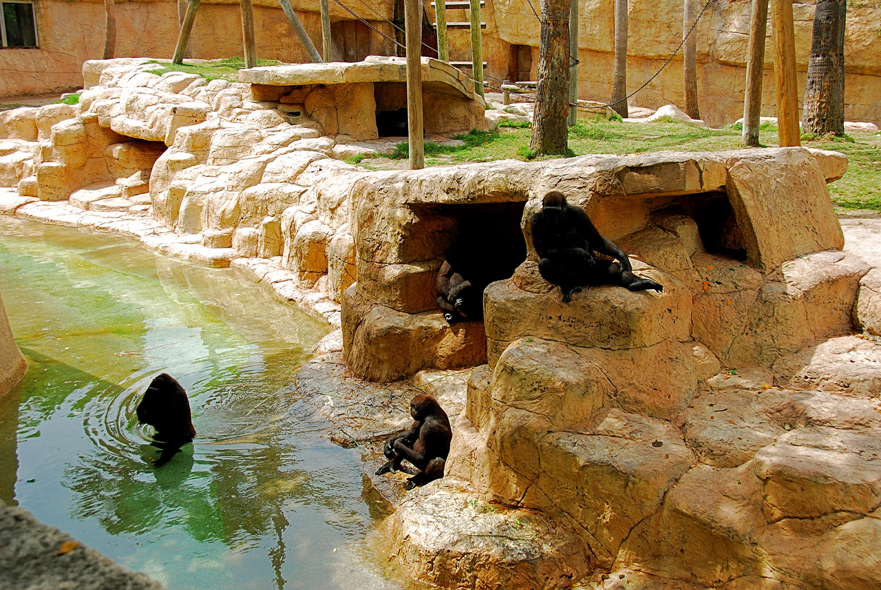2013-04-03, 015, Gladys Porter Zoo, Brownsville, TX