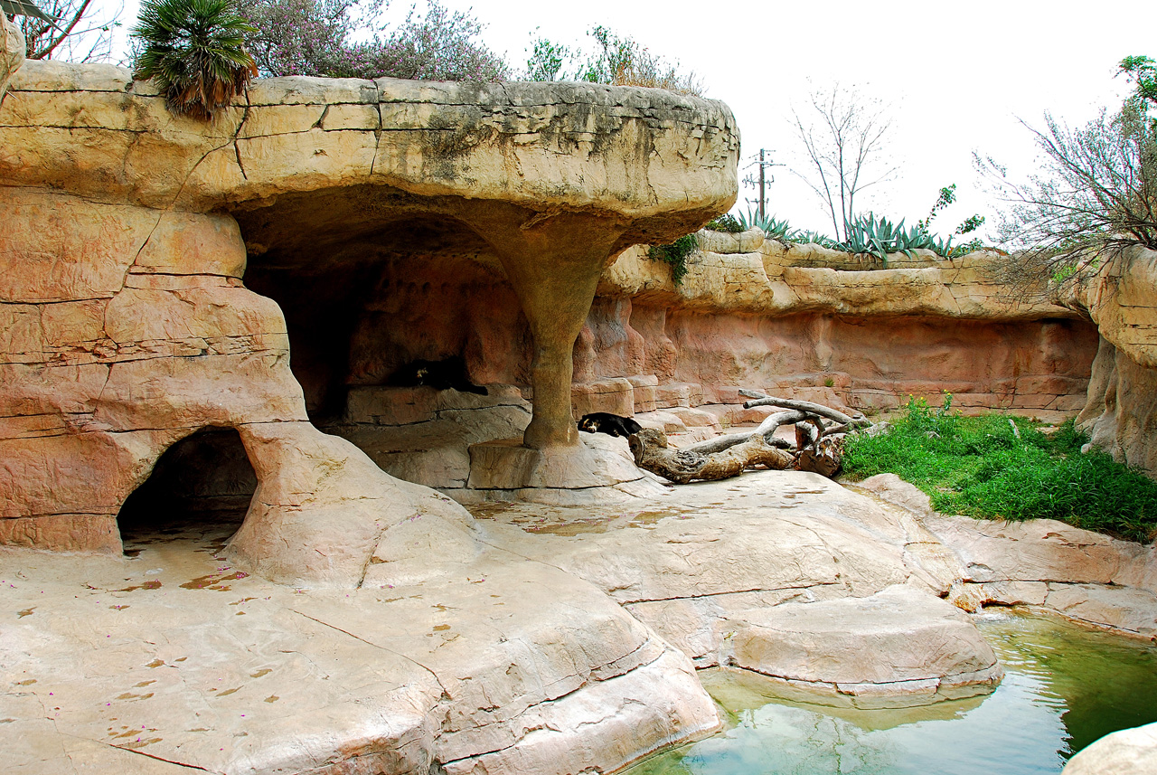 2013-04-03, 031, Gladys Porter Zoo, Brownsville, TX
