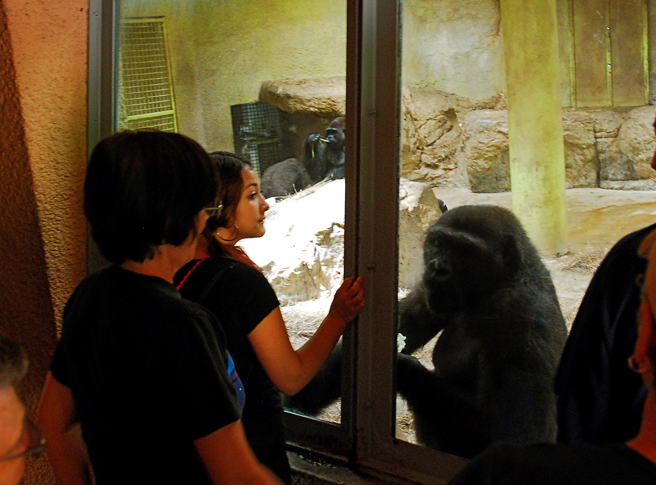 2013-04-03, 146, Gladys Porter Zoo, Brownsville, TX