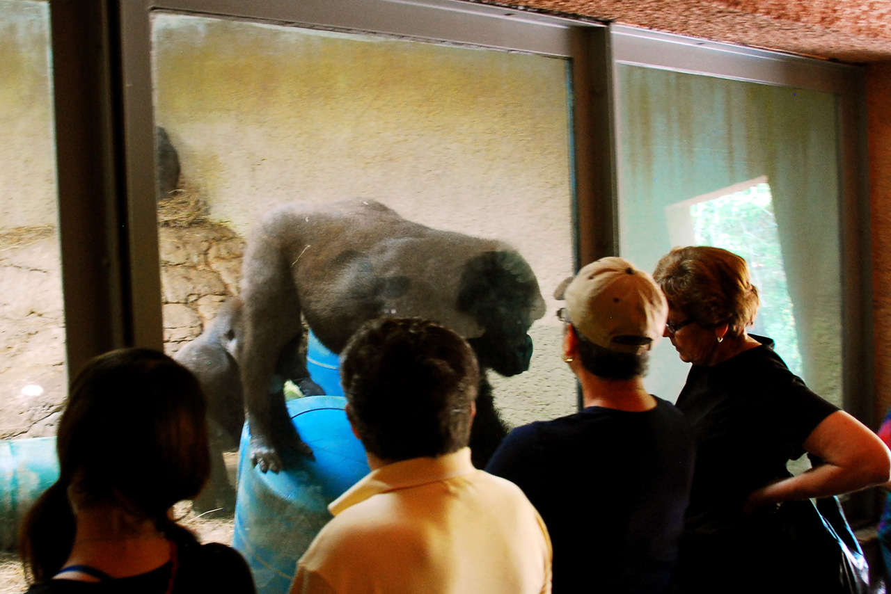 2013-04-03, 150, Gladys Porter Zoo, Brownsville, TX