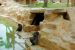2013-04-03, 002, Gladys Porter Zoo, Brownsville, TX