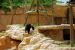 2013-04-03, 018, Gladys Porter Zoo, Brownsville, TX