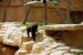 2013-04-03, 019, Gladys Porter Zoo, Brownsville, TX