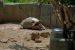 2013-04-03, 094, Gladys Porter Zoo, Brownsville, TX