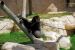 2013-04-03, 143, Gladys Porter Zoo, Brownsville, TX