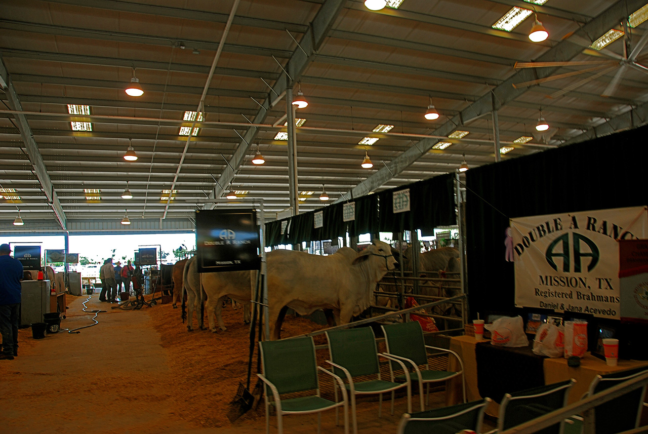 2013-03-15, 041, RGV Livestock, Mercedes, TX