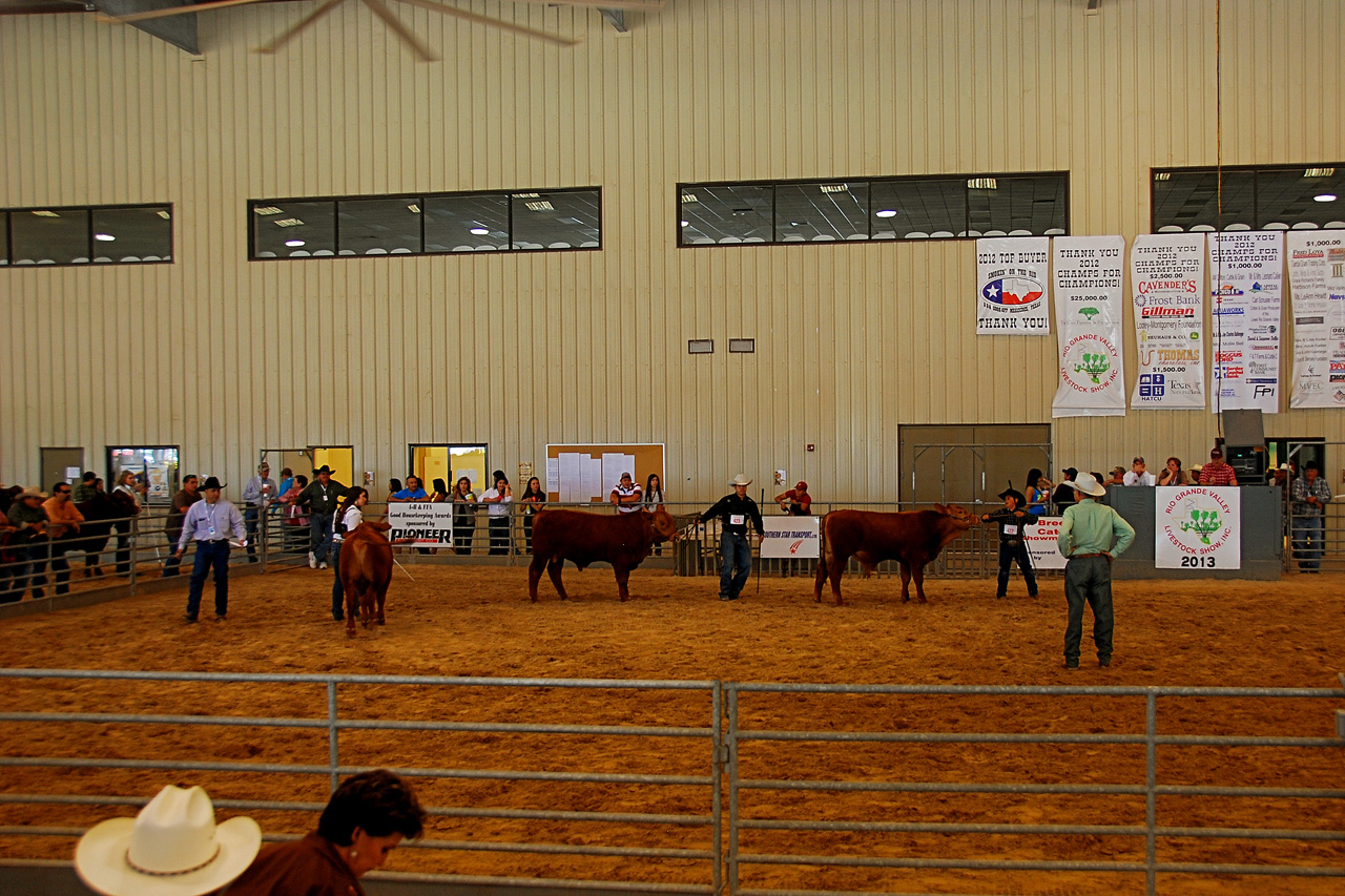 2013-03-15, 042, RGV Livestock, Mercedes, TX