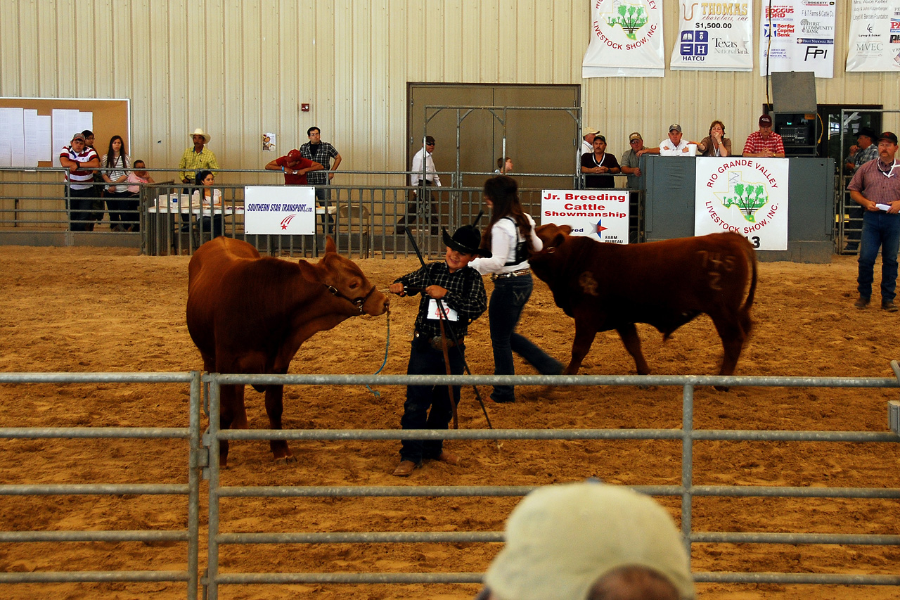 2013-03-15, 043, RGV Livestock, Mercedes, TX