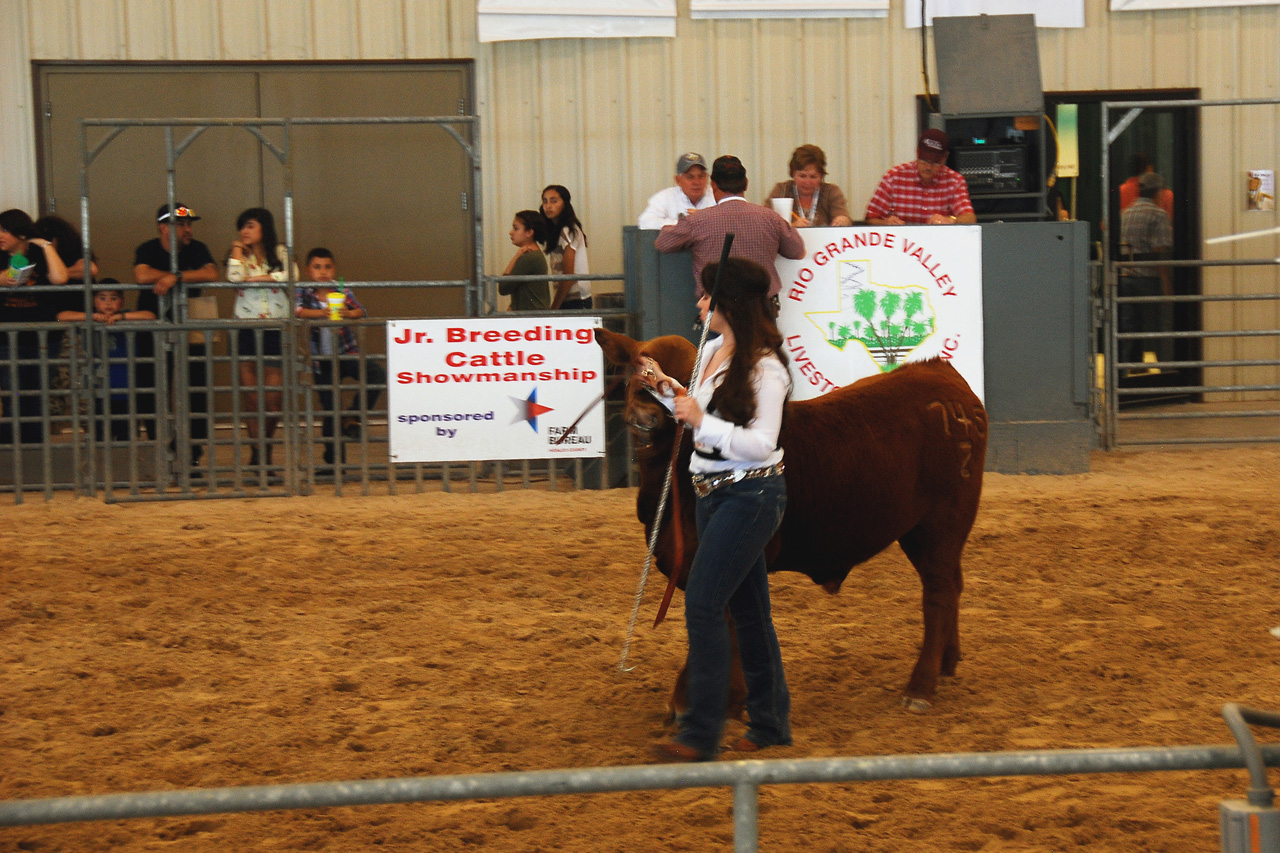 2013-03-15, 046, RGV Livestock, Mercedes, TX