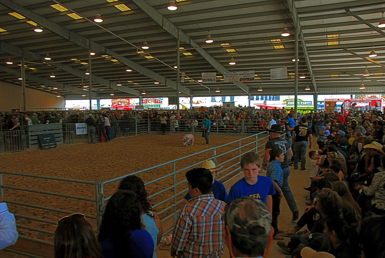 2013-03-15, 048, RGV Livestock, Mercedes, TX