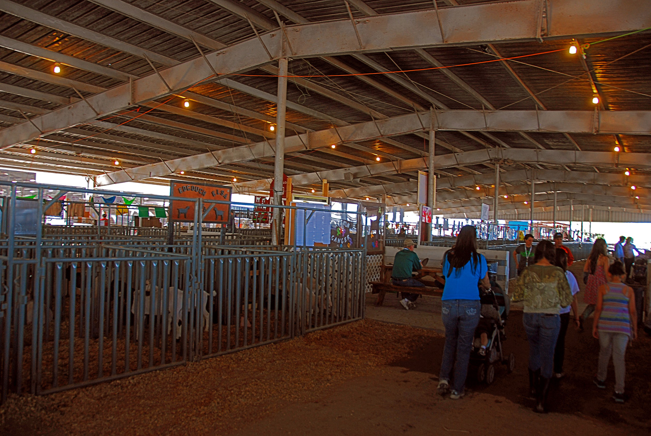2013-03-15, 058, RGV Livestock, Mercedes, TX