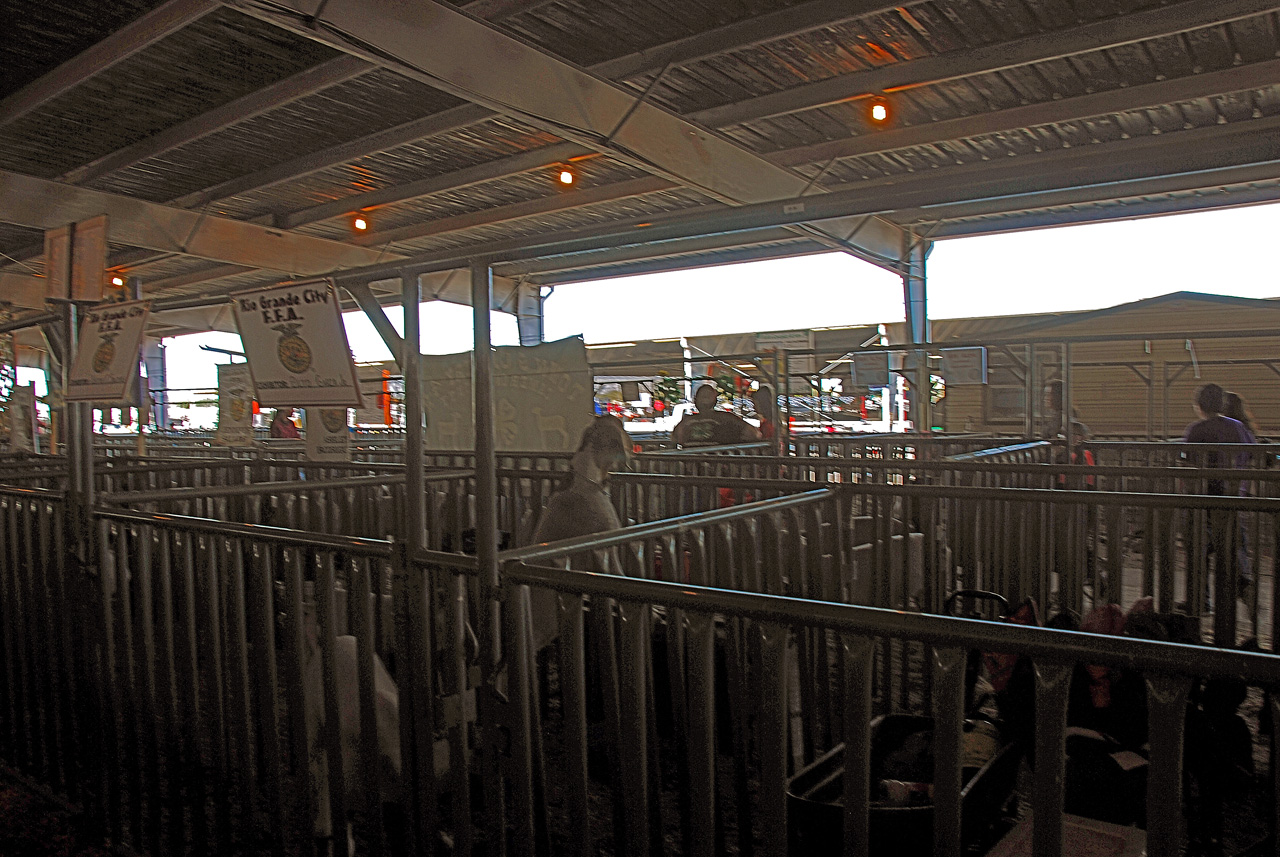 2013-03-15, 059, RGV Livestock, Mercedes, TX