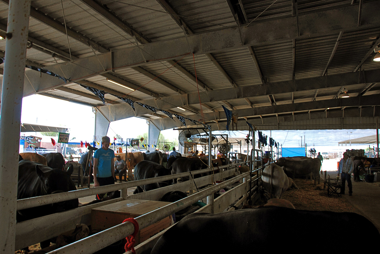 2013-03-15, 060, RGV Livestock, Mercedes, TX