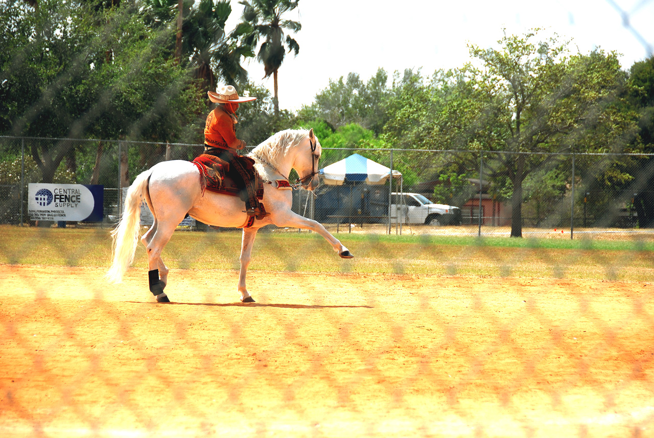 2013-03-24, 029, Onion Fest, Weslaco, TX