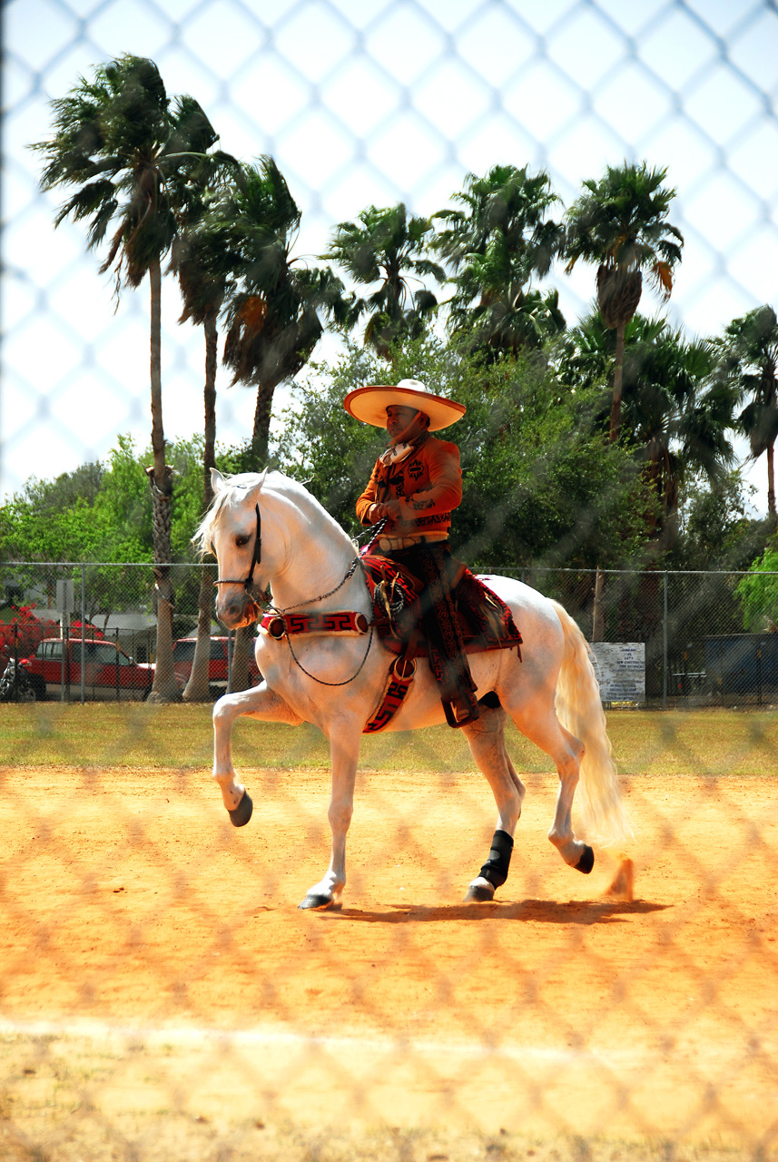 2013-03-24, 034, Onion Fest, Weslaco, TX