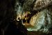 2013-05-06, 009, Carlsbad Caverns, NM