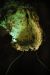 2013-05-06, 057, Carlsbad Caverns, NM