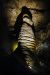 2013-05-06, 083, Carlsbad Caverns, NM