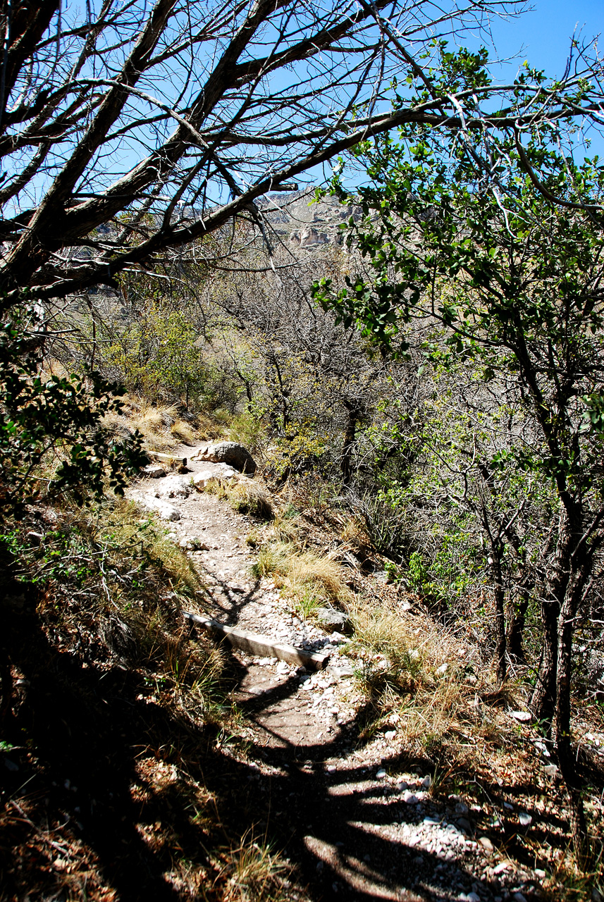 2013-05-05, 022, Frijole Ranch